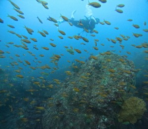 DCIM100GOPROGOPR6997.JPG