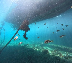 DCIM100GOPROGOPR7013.JPG