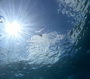 DCIM100GOPROGOPR7019.JPG