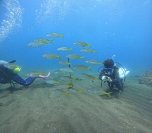 DCIM100GOPROGOPR7025.JPG