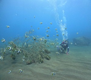 DCIM100GOPROGOPR7027.JPG