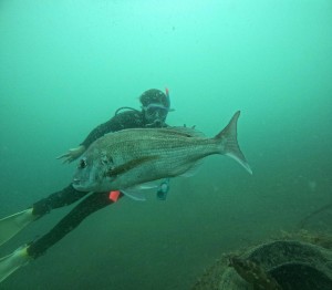 DCIM100GOPROGOPR7401.JPG