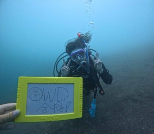 DCIM100GOPROGOPR7411.JPG