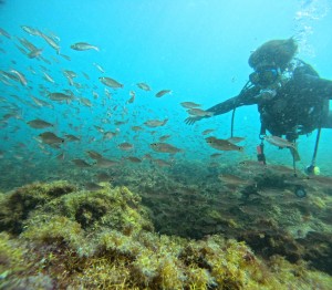 DCIM100GOPROGOPR7425.JPG