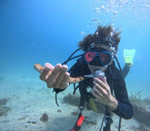DCIM100GOPROGOPR7429.JPG