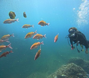DCIM100GOPROGOPR7443.JPG