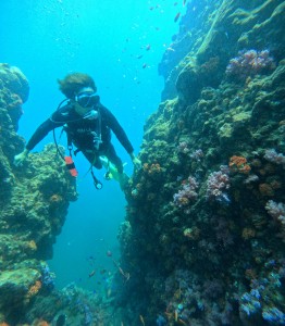 DCIM100GOPROGOPR7450.JPG