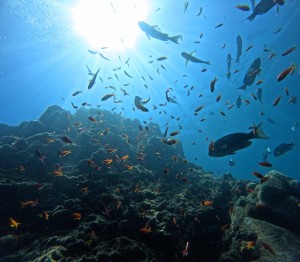 DCIM100GOPROGOPR7457.JPG