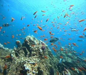 DCIM100GOPROGOPR7463.JPG