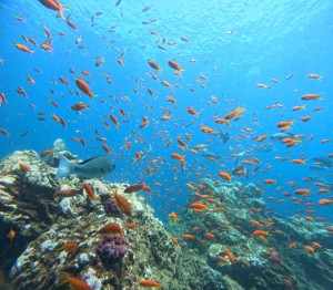 DCIM100GOPROGOPR7464.JPG