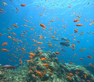 DCIM100GOPROGOPR7468.JPG