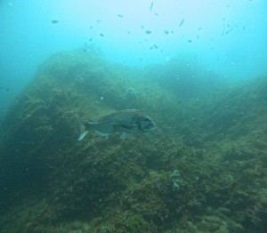 DCIM100GOPROGOPR7473.JPG