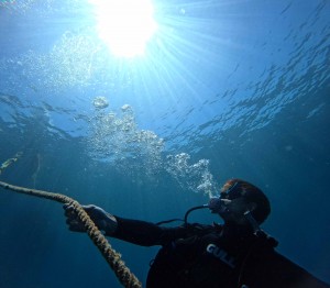DCIM100GOPROGOPR7492.JPG