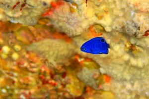IMG_7215