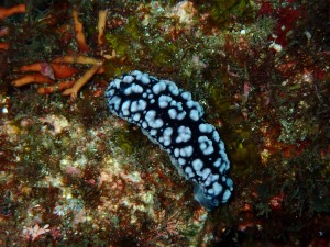 P6170006