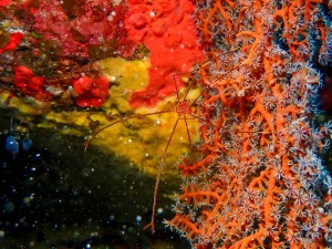 P7010073