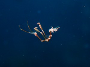P7100111