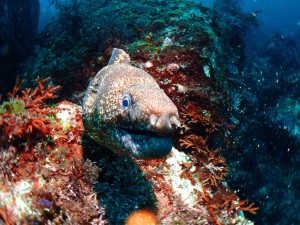 P7120393