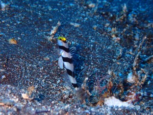 P7140970