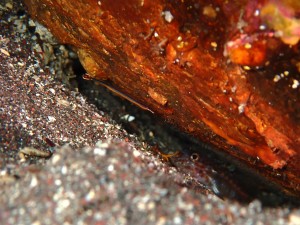 P7141035