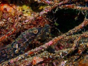 P7180084