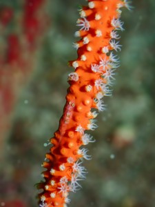 P7180097