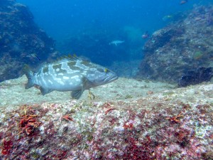 P7190388