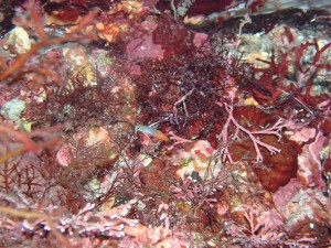 P7199977