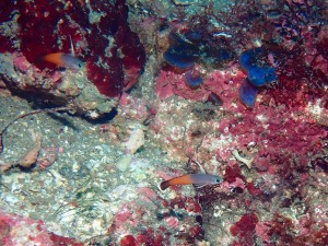 P7200077