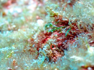 P7200211