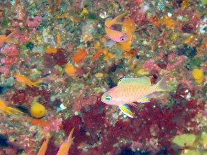 P7260024