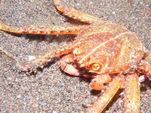 P7270115