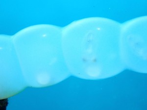 P7270127
