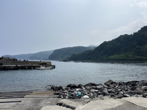 S__320323586