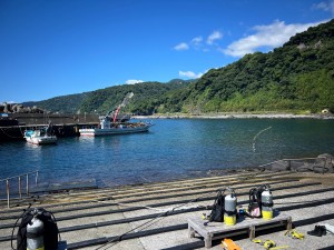 S__323903492_0
