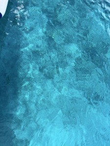 S__66748424