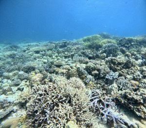 S__66748457