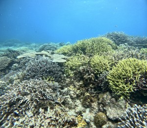 S__66748458