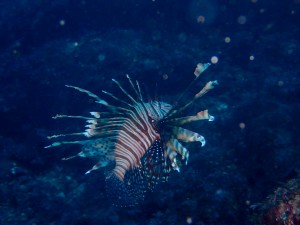 line_oa_chat_250722_172324_group_0