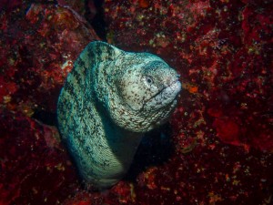 line_oa_chat_250722_172324_group_2