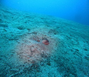 DCIM100GOPROGOPR5712.JPG