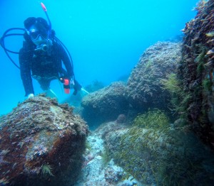 GOPR2164