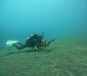 DCIM100GOPROGOPR2195.JPG
