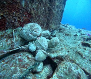 DCIM100GOPROGOPR2248.JPG