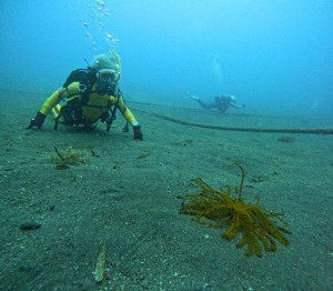 DCIM100GOPROGOPR2257.JPG