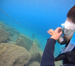 DCIM100GOPROGOPR2263.JPG