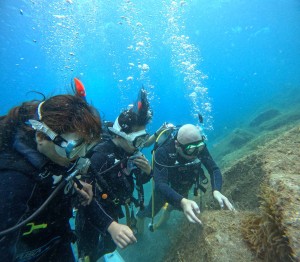 DCIM100GOPROGOPR2271.JPG