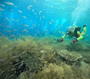 DCIM100GOPROGOPR2278.JPG