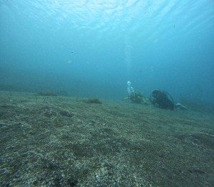 DCIM100GOPROGOPR2283.JPG