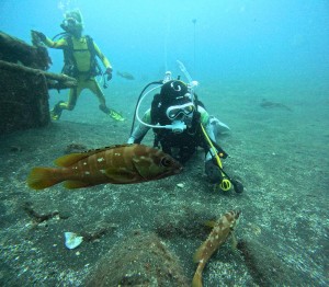 DCIM100GOPROGOPR2288.JPG